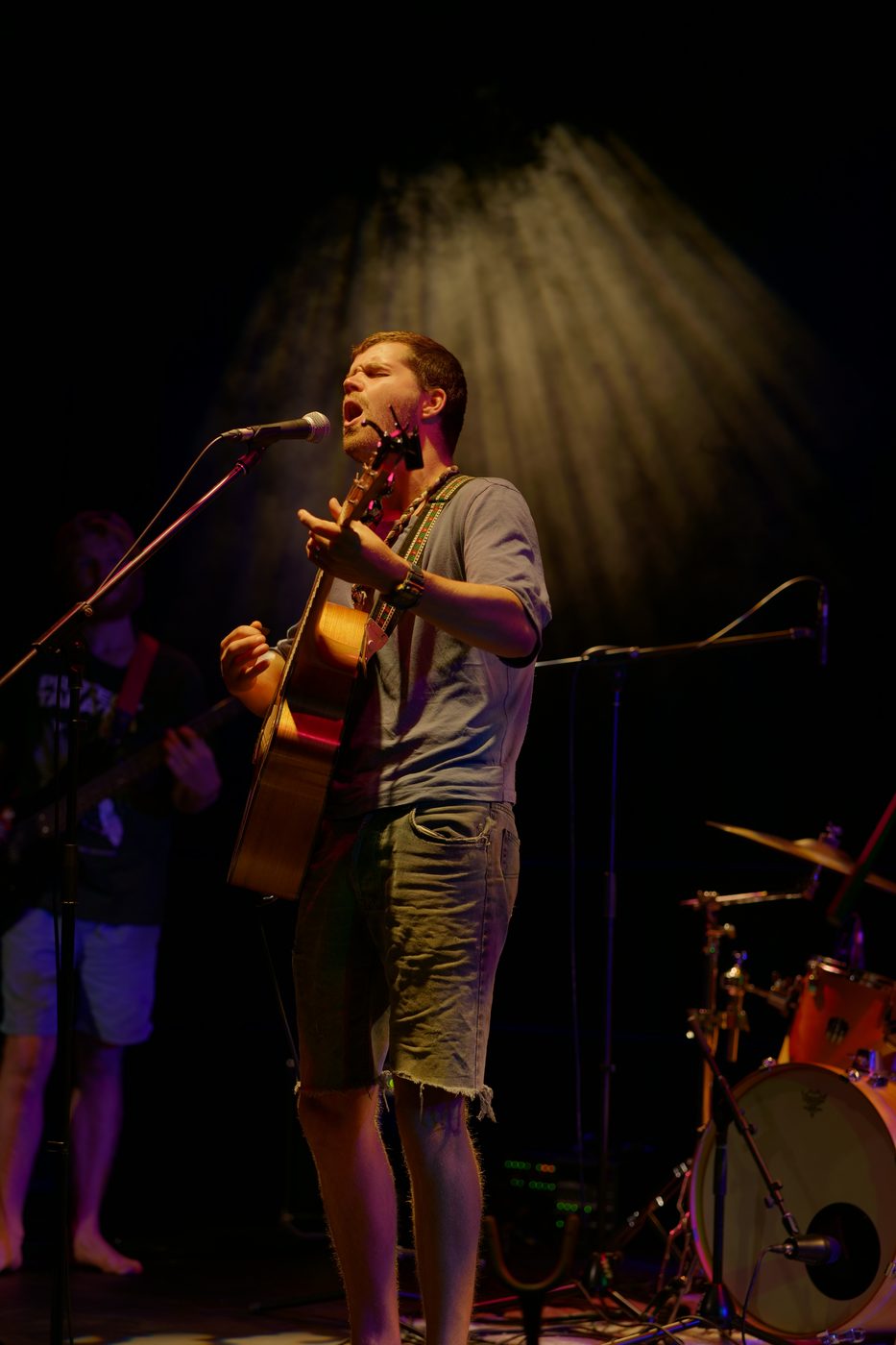 Seal Prince and the Roof Rats performing live